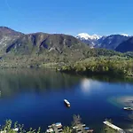 Apartma Jezero Mig Apartment Bohinj