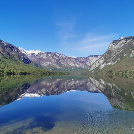 Lejlighed Apartma Jezero Mig *