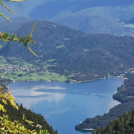 Apartma Jezero Mig Apartman Bohinji-tó