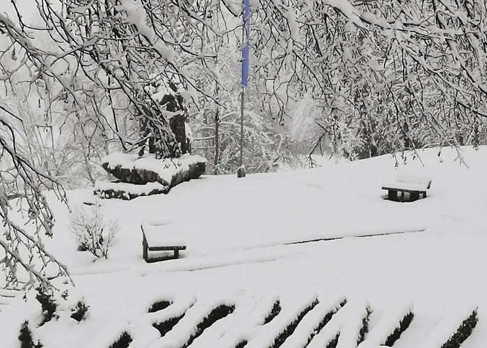 Apartma Jezero Mig Lejlighed